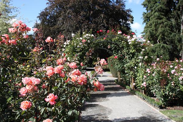 Christchurch Botanic Gardens