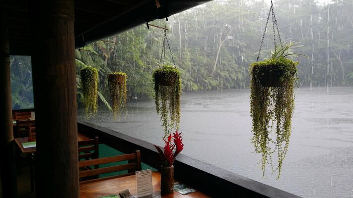 Rainforest Eco Lodge