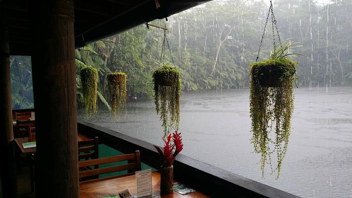 Rainforest Eco Lodge