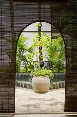 Cocotiers Hotel - Mauritius