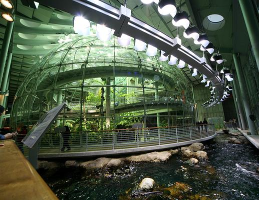 California Academy of Sciences