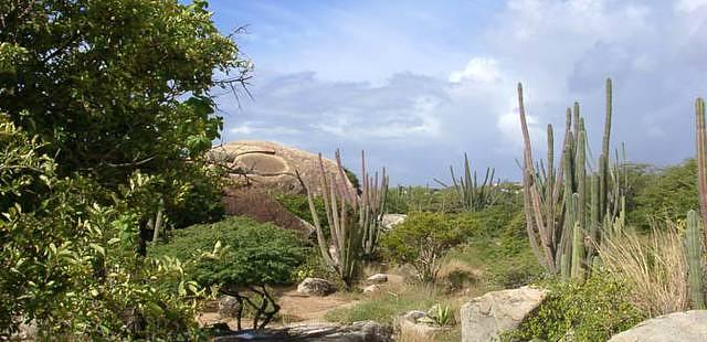 Arikok National Park