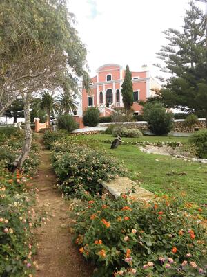 Agroturismo Son Triay