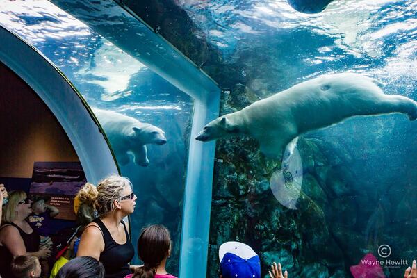 Assiniboine Park Zoo