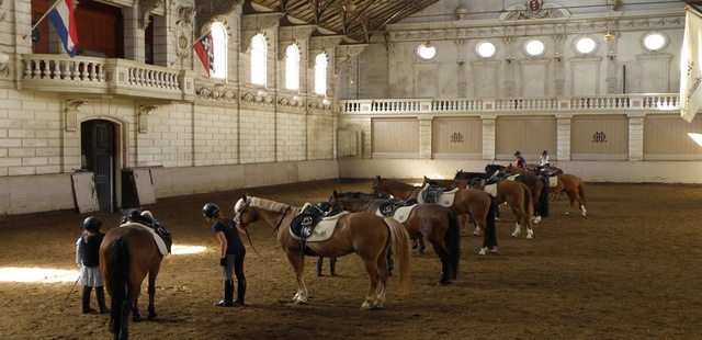 Levend Paardenmuseum De Hollandsche Manege