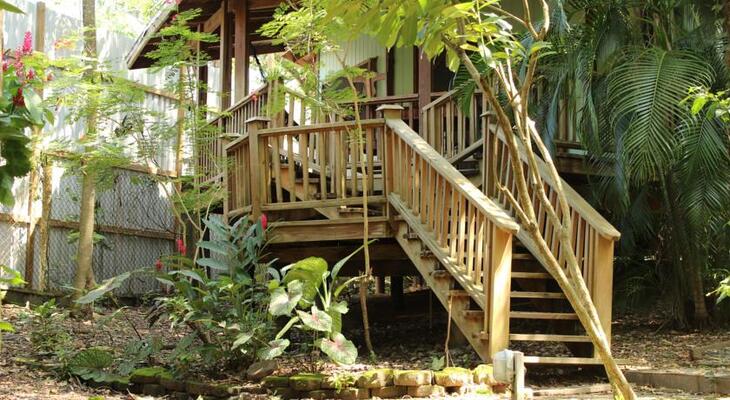 Georphi's Tropical Hideaway