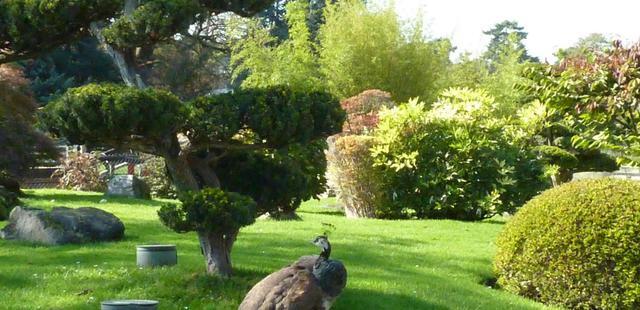 Jardin D'Acclimatation