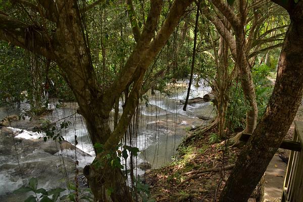 Dunn's River Falls and Park