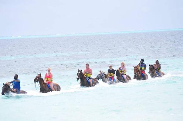 Chukka Caribbean Adventures-Good Hope Estate by Horse & Carriage