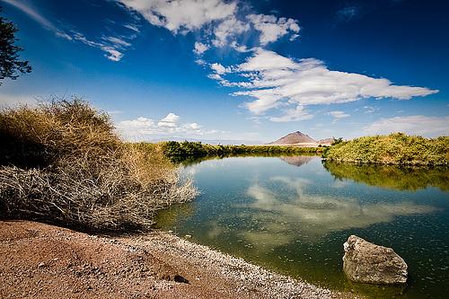 Henderson Bird Viewing Preserve