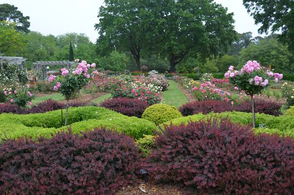 Norfolk Botanical Garden