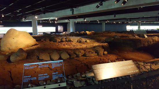The Settlement Exhibition