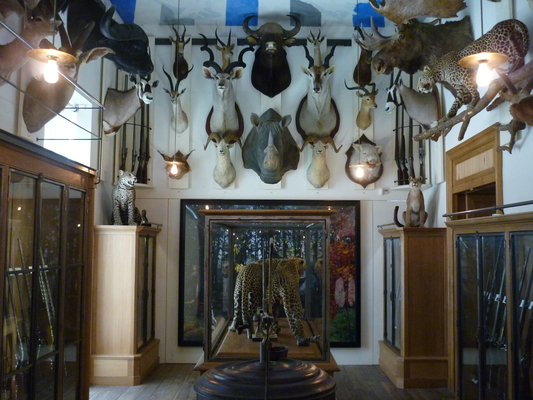 Musee de la Chasse et de la Nature