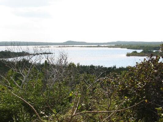 Pumpkin Bluff Pond