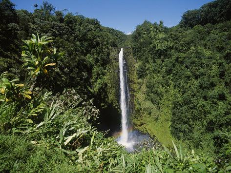 Akaka Falls State Park