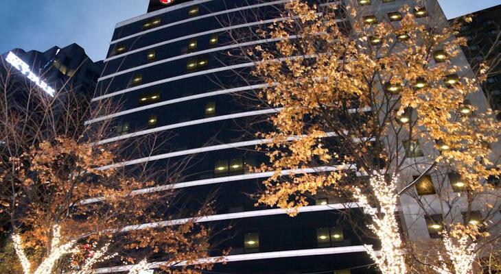 Hotel Skypark Central Myeongdong