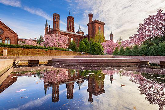 The complete guide to Smithsonian museums