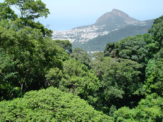 Parque Nacional da Tijuca