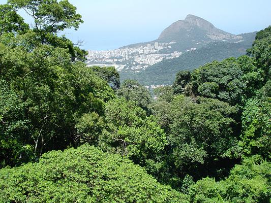 Parque Nacional da Tijuca