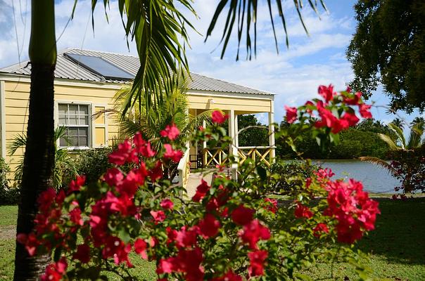 Antigua's Yepton Estate Cottages