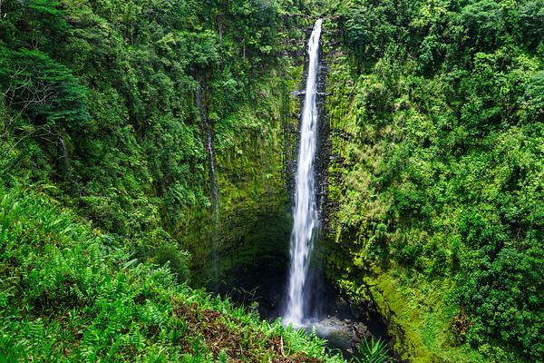 Akaka Falls State Park