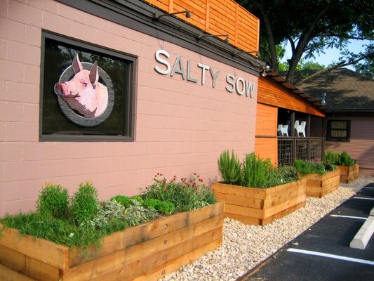 Salty Sow
