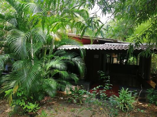 Silent Bungalow in Knuckles