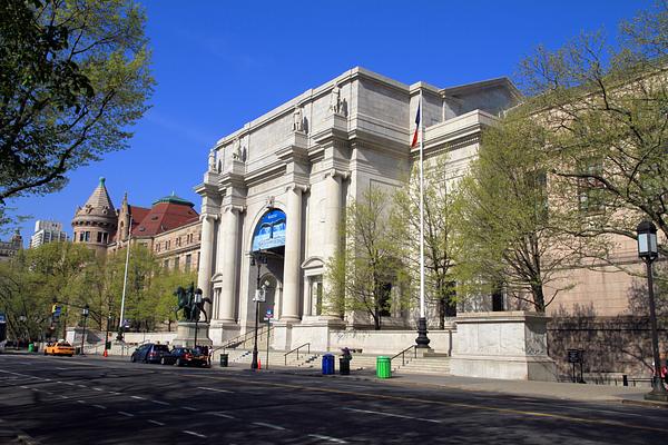 American Museum of Natural History