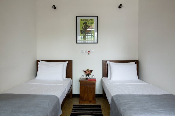 Black Cat Bed and Breakfast