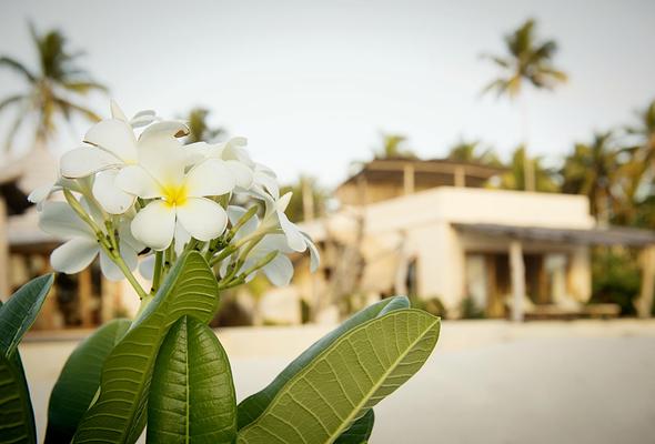 Zanzibar White Sand Luxury Villas & Spa (Relais & Chateaux)