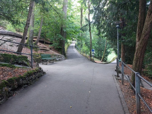 Parc de Milan et cret de Montriond