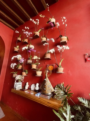 Restaurante Catedral