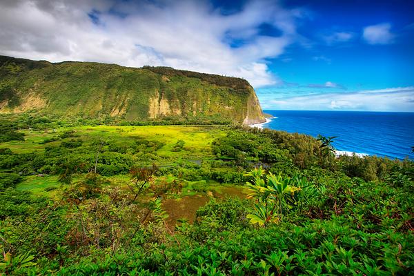 Waipio Valley Lookout