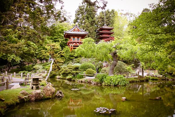 Japanese Tea Garden