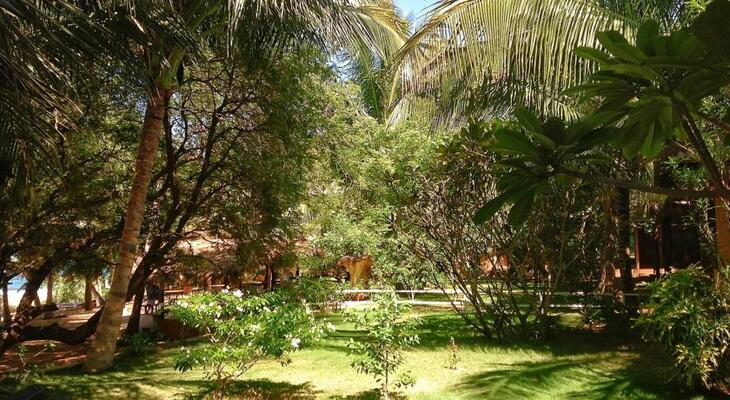 Mambo's Arugambay Hotel