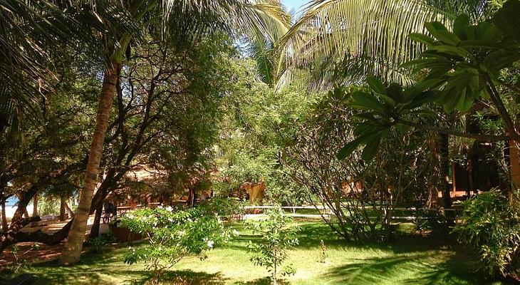 Mambo's Arugambay Hotel