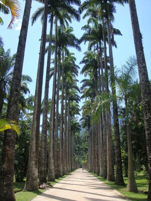 Botanical Garden