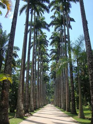 Botanical Garden