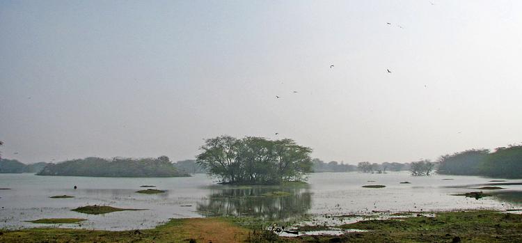 Sultanpur National Park