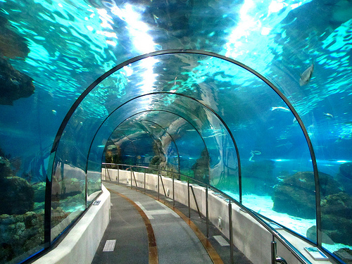 L???Aquarium de Barcelona