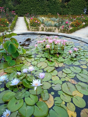 Jardim Botanico do Porto