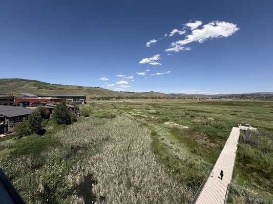 Swaner Preserve and EcoCenter