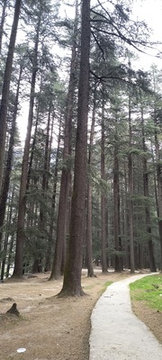 View Point