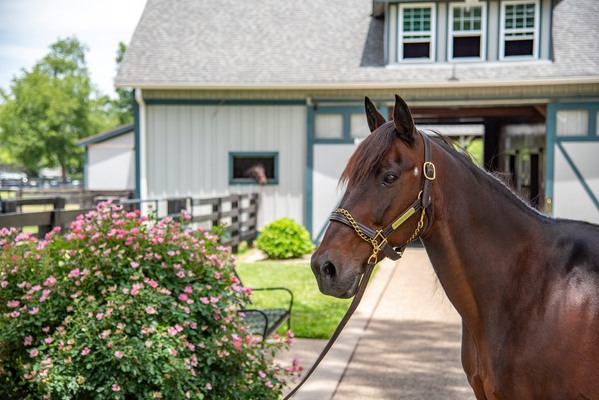 Kentucky Horse Park