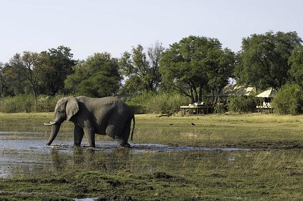 Great Plains Conservation Zarafa Camp