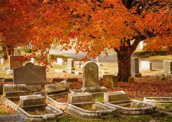 Elmwood Cemetery
