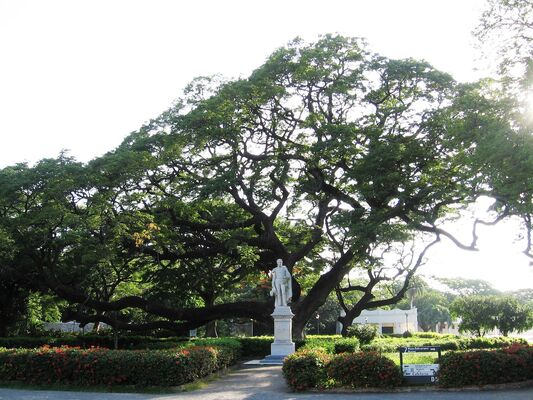 Quinta de San Pedro Alejandrino