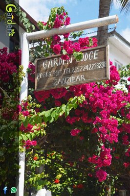 Garden Lodge Zanzibar