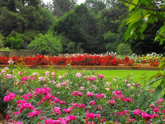 Johannesburg Botanical Garden