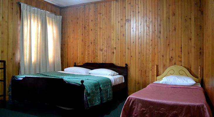Single Tree Hotel